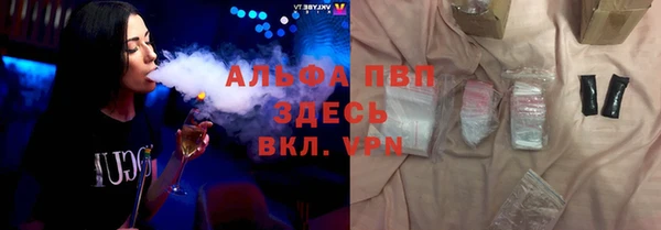 индика Абдулино