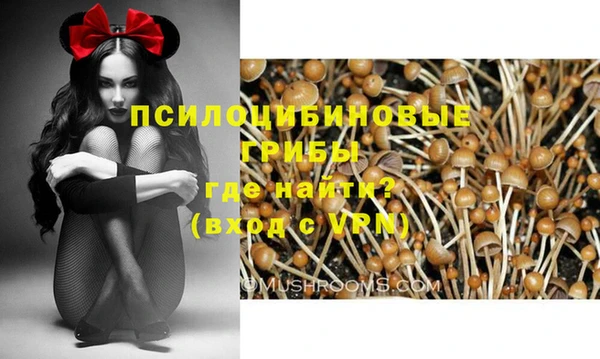 индика Абдулино