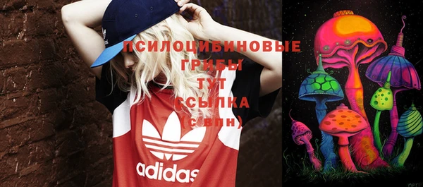 стафф Нефтегорск